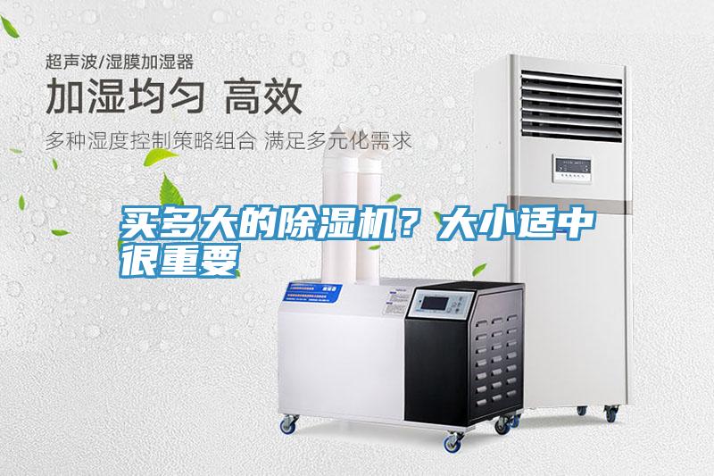 買多大的除濕機?大小適中很重要