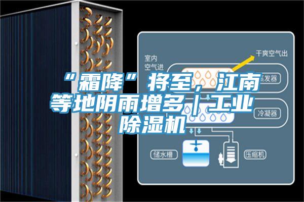 “霜降”將至，江南等地陰雨增多｜工業除濕機