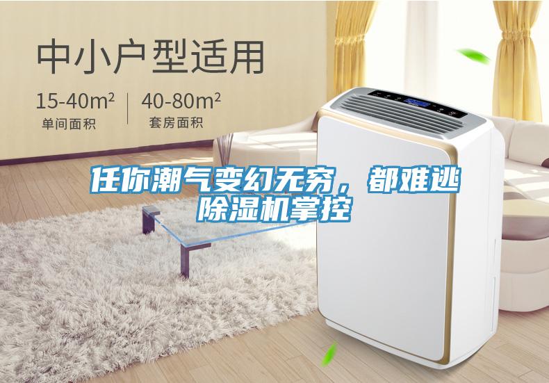 任你潮氣變幻無窮,都難逃除濕機掌控