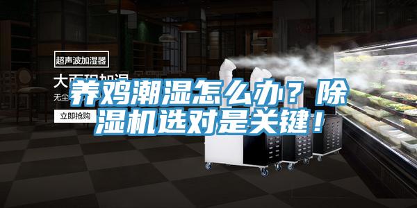 養雞潮濕怎么辦？除濕機選對是關鍵！