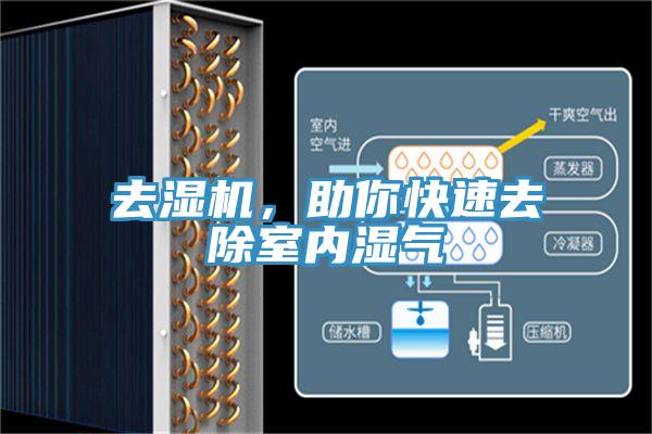 去濕機，助你快速去除室內(nèi)濕氣