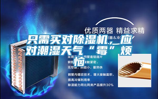 只需買對除濕機，應對潮濕天氣“霉”煩惱