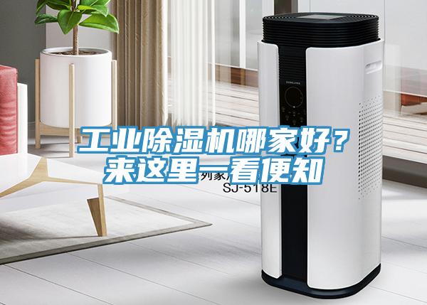 工業除濕機哪家好？來這里一看便知