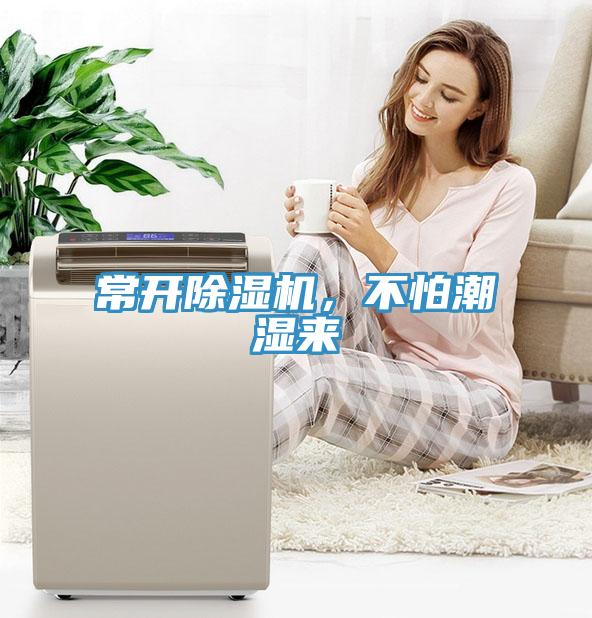 常開除濕機，不怕潮濕來