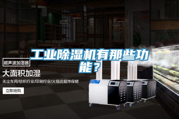 工業除濕機有那些功能?