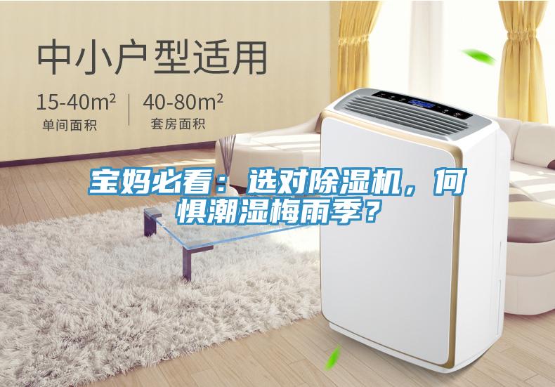 寶媽必看：選對除濕機，何懼潮濕梅雨季？