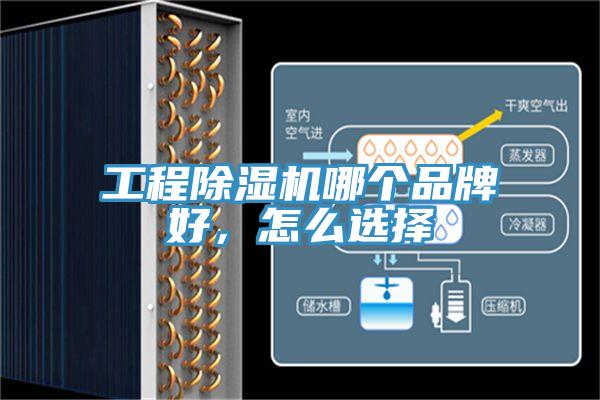 工程除濕機(jī)哪個品牌好，怎么選擇