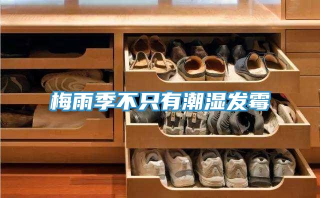 梅雨季不只有潮濕發霉