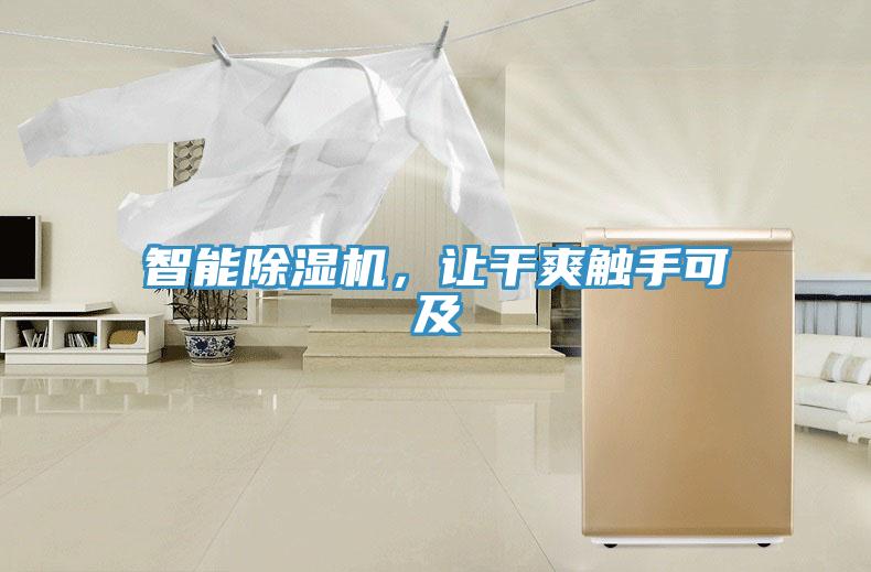 智能除濕機，讓干爽觸手可及