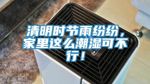清明時節雨紛紛，家里這么潮濕可不行！