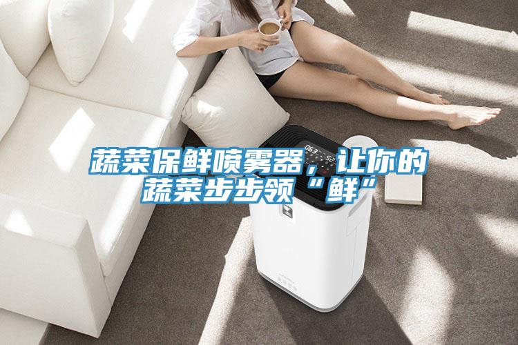 蔬菜保鮮噴霧器,讓你的蔬菜步步領“鮮”