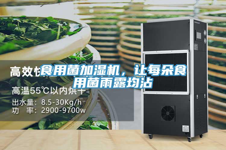 食用菌加濕機(jī)，讓每朵食用菌雨露均沾