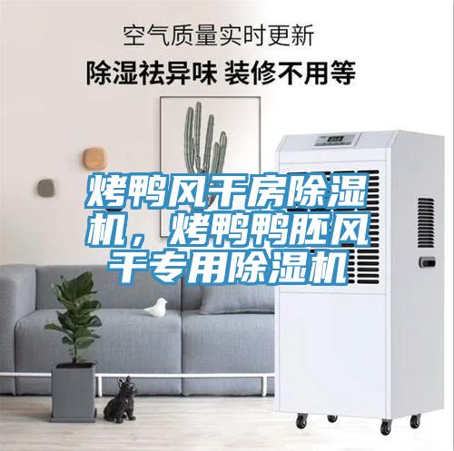 烤鴨風(fēng)干房除濕機(jī)，烤鴨鴨胚風(fēng)干專(zhuān)用除濕機(jī)