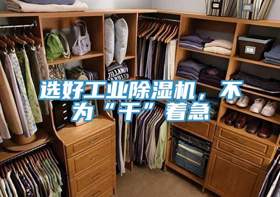 選好工業除濕機,不為“干”著急