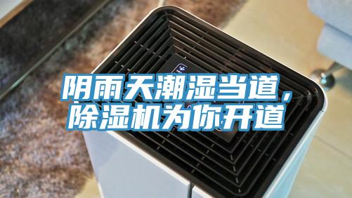 陰雨天潮濕當(dāng)?shù)溃凉駲C(jī)為你開道