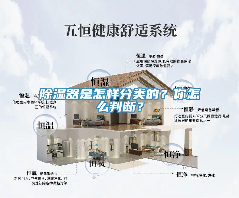 除濕器是怎樣分類的？你怎么判斷？