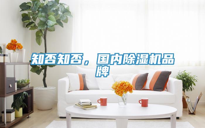 知否知否,國內除濕機品牌
