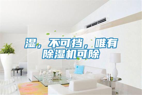 濕，不可擋，唯有除濕機(jī)可除