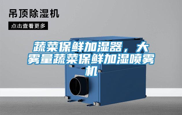 蔬菜保鮮加濕器,大霧量蔬菜保鮮加濕噴霧機