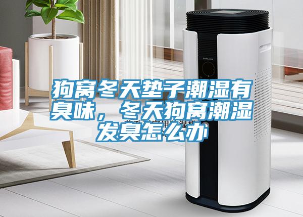 狗窩冬天墊子潮濕有臭味，冬天狗窩潮濕發臭怎么辦