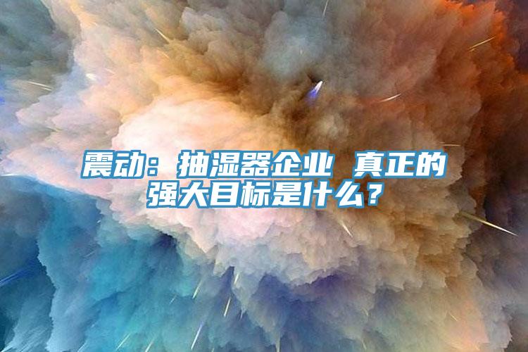 震動:抽濕器企業 真正的強大目標是什么?