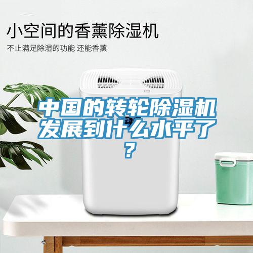 中國的轉輪除濕機發展到什么水平了？