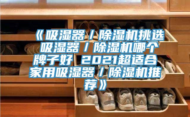 《吸濕器/除濕機挑選 吸濕器/除濕機哪個牌子好 2021超適合家用吸濕器/除濕機推薦》