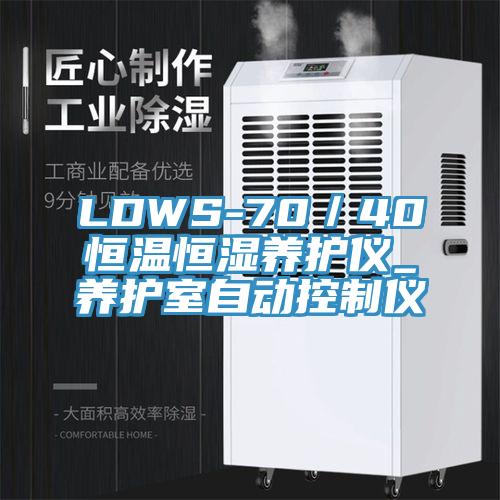 LDWS-70/40恒溫恒濕養護儀_養護室自動控制儀