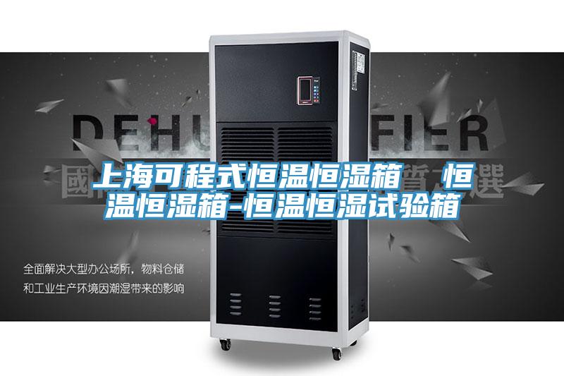 上海可程式恒溫恒濕箱 恒溫恒濕箱-恒溫恒濕試驗箱