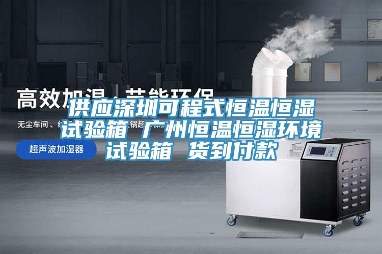 供應深圳可程式恒溫恒濕試驗箱 廣州恒溫恒濕環境試驗箱 貨到付款
