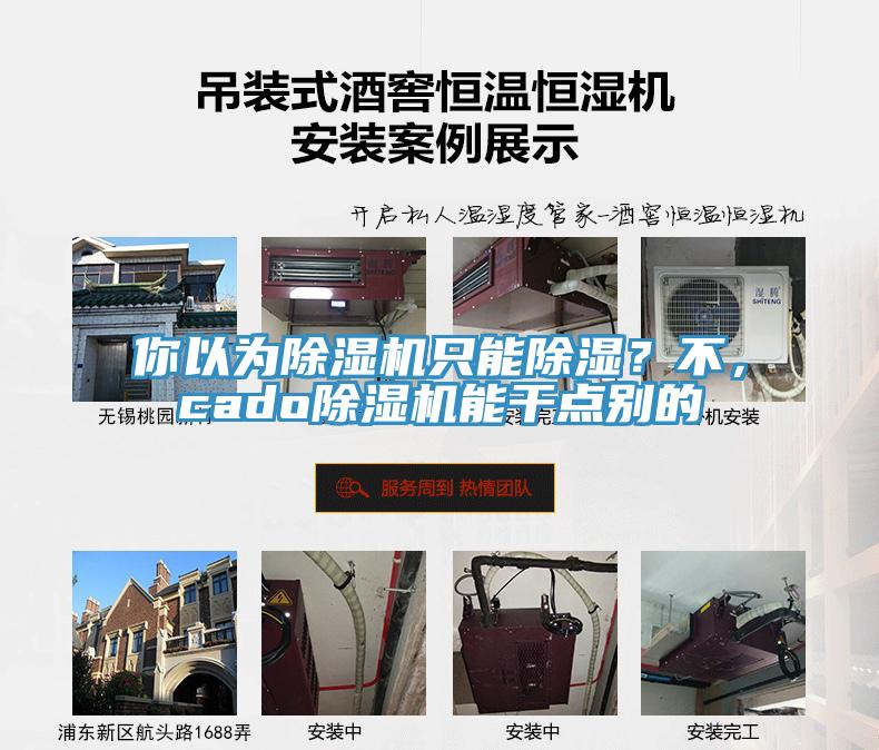 你以為除濕機只能除濕？不，cado除濕機能干點別的