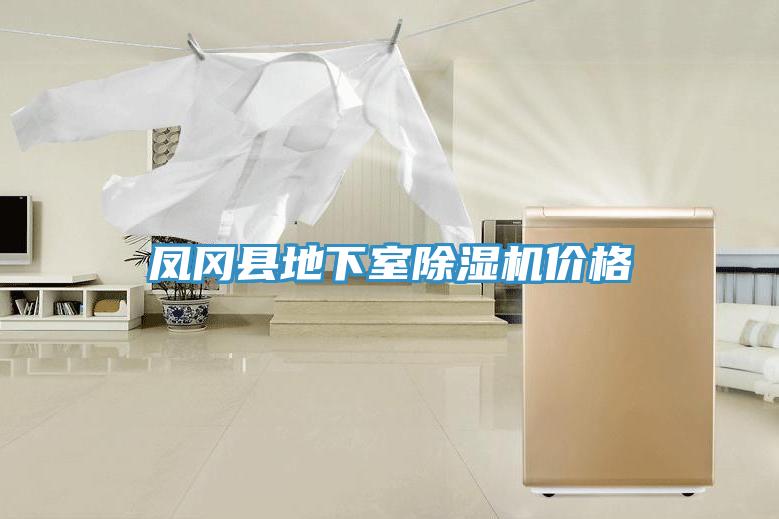 鳳岡縣地下室除濕機價格