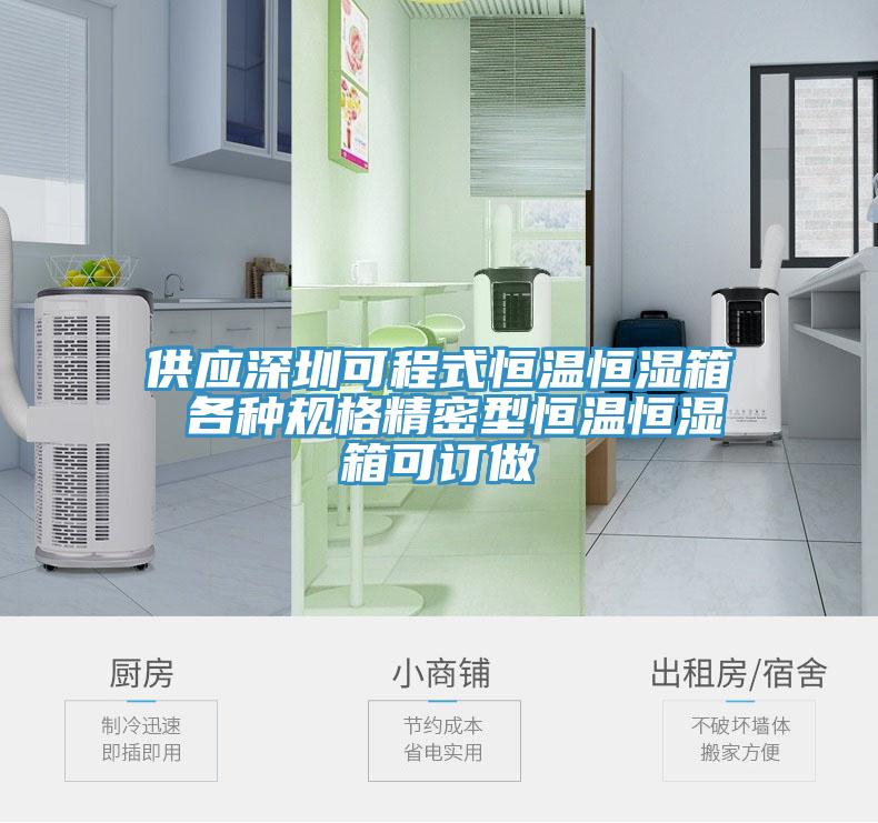 供應深圳可程式恒溫恒濕箱 各種規格精密型恒溫恒濕箱可訂做