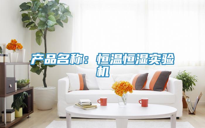產品名稱:恒溫恒濕實驗機