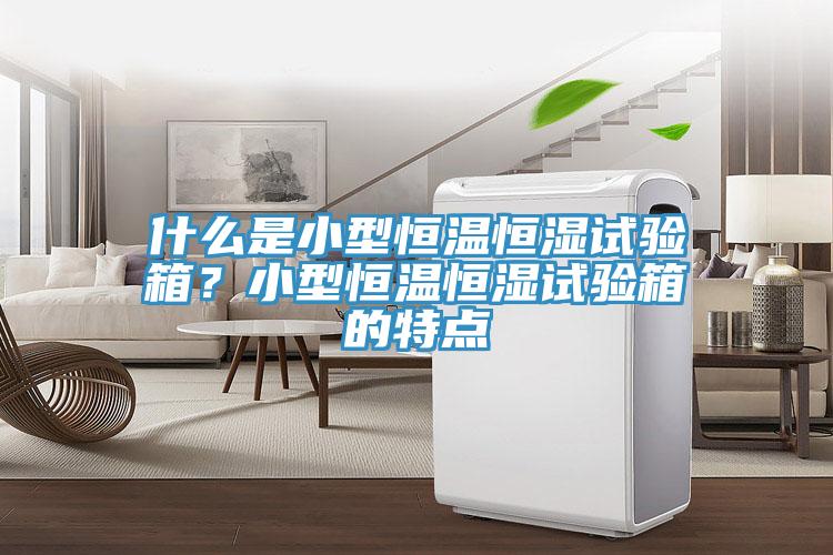 什么是小型恒溫恒濕試驗(yàn)箱?小型恒溫恒濕試驗(yàn)箱的特點(diǎn)