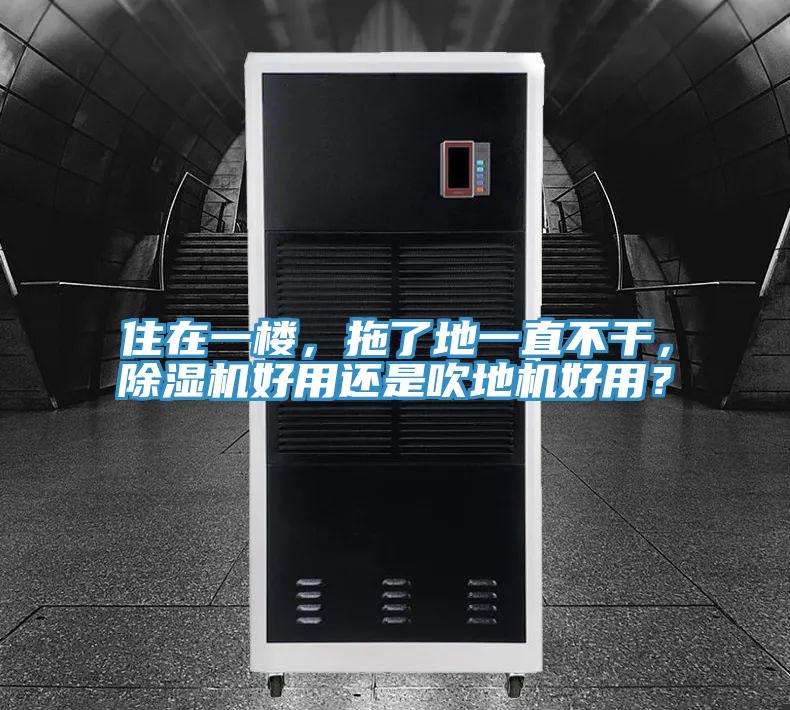 住在一樓，拖了地一直不干，除濕機好用還是吹地機好用？