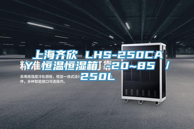 上海齊欣 LHS-250CAY 恒溫恒濕箱 -20~85℃/250L
