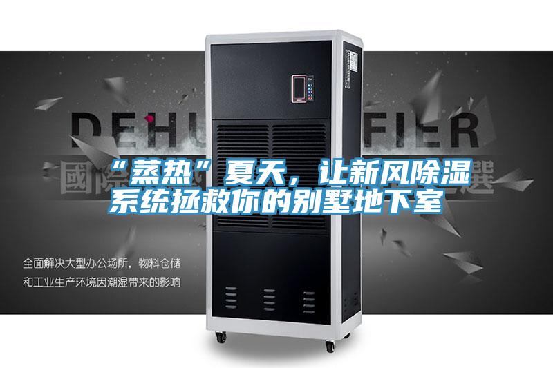 “蒸熱”夏天,讓新風除濕系統拯救你的別墅地下室