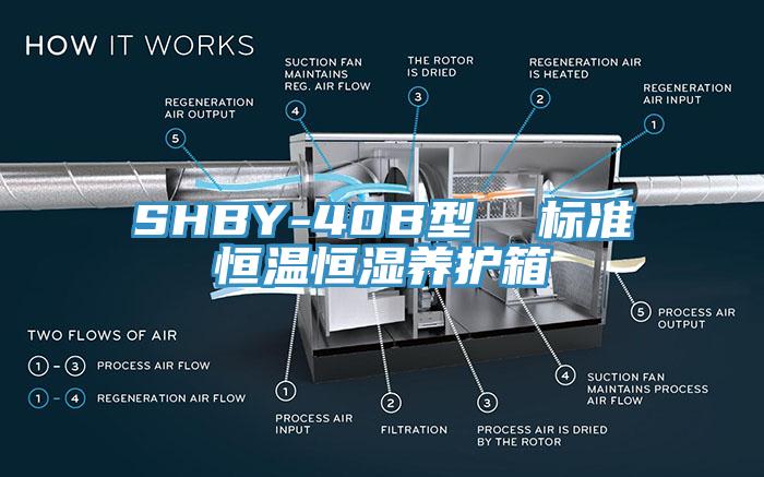 SHBY-40B型 標準恒溫恒濕養護箱