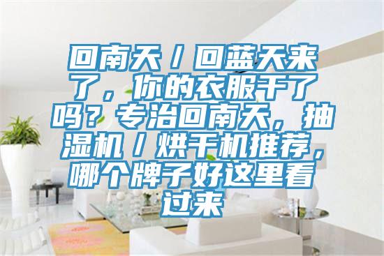 回南天／回藍天來了，你的衣服干了嗎？專治回南天，抽濕機／烘干機推薦，哪個牌子好這里看過來