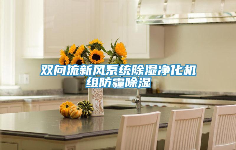 雙向流新風系統除濕凈化機組防霾除濕
