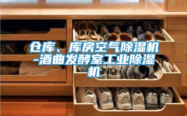 倉庫、庫房空氣除濕機-酒曲發酵室工業除濕機