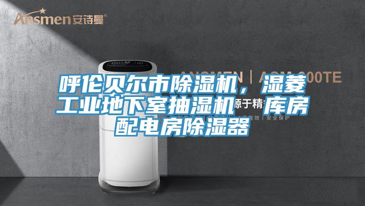 呼倫貝爾市除濕機(jī),濕菱工業(yè)地下室抽濕機(jī) 庫(kù)房配電房除濕器