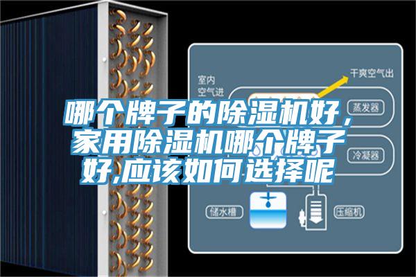 哪個(gè)牌子的除濕機(jī)好，家用除濕機(jī)哪個(gè)牌子好,應(yīng)該如何選擇呢