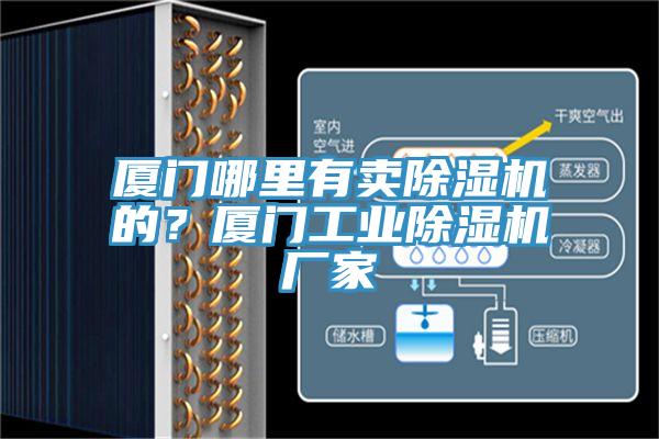 廈門哪里有賣除濕機的？廈門工業(yè)除濕機廠家