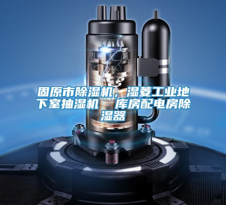 固原市除濕機(jī)，濕菱工業(yè)地下室抽濕機(jī)  庫(kù)房配電房除濕器