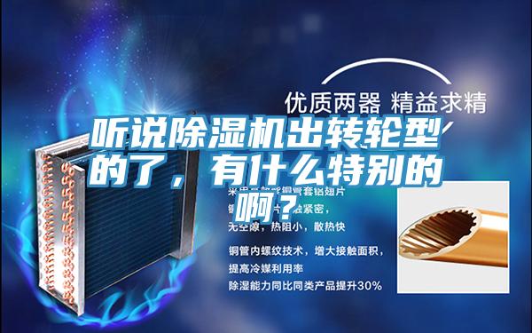 聽(tīng)說(shuō)除濕機(jī)出轉(zhuǎn)輪型的了,有什么特別的啊?