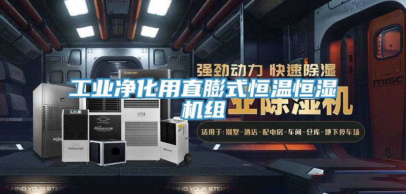 工業凈化用直膨式恒溫恒濕機組