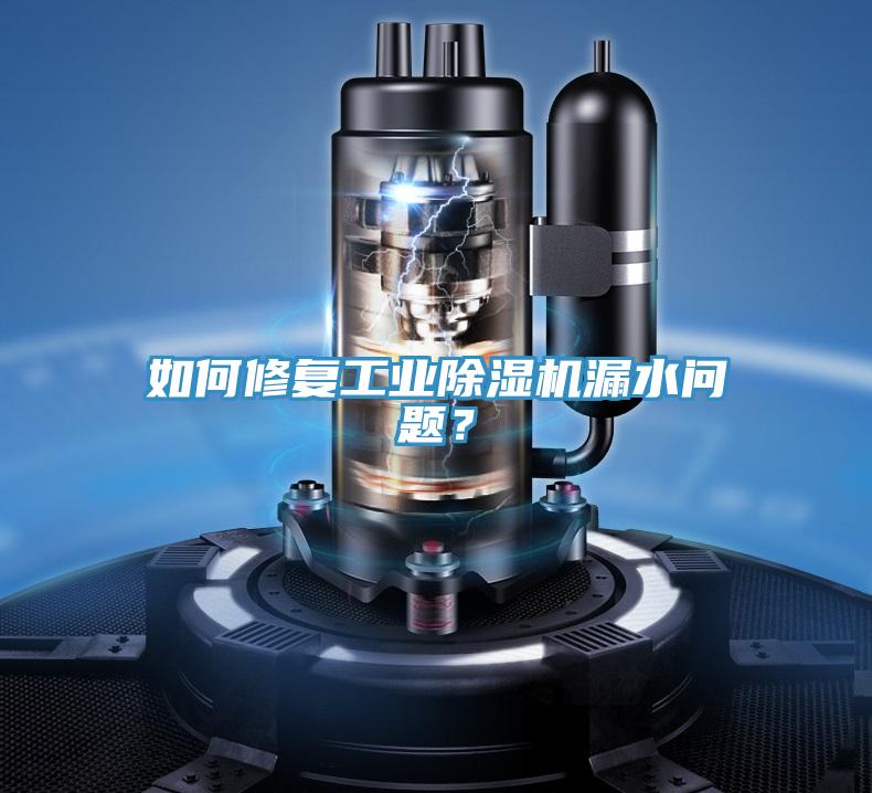 如何修復工業除濕機漏水問題？