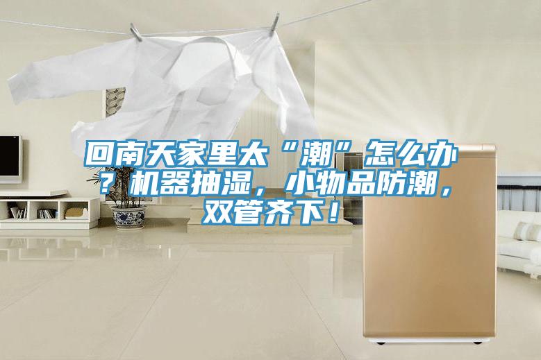 回南天家里太“潮”怎么辦？機(jī)器抽濕，小物品防潮，雙管齊下！